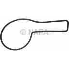 Engine Water Pump Gasket