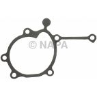 Engine Water Pump Gasket