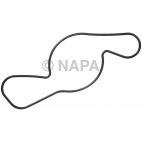Engine Water Pump Gasket