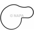 Engine Water Pump Gasket