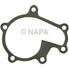 Engine Water Pump Gasket