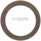 Engine Rear Main Seal Kit