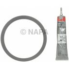 Engine Rear Main Seal Kit