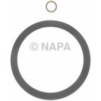 Engine Rear Main Seal Kit