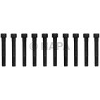 Engine Cylinder Head Bolt Set