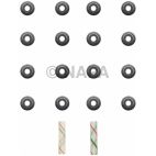 Engine Valve Stem Oil Seal Set