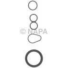 Engine Crankshaft Seal Kit
