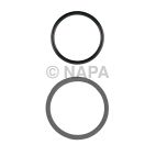 Distributor Gasket