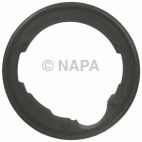Engine Coolant Thermostat Housing Seal
