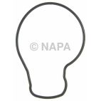 Engine Water Pump Gasket