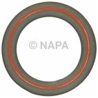 Engine Water Pump Gasket
