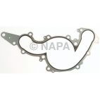Engine Water Pump Gasket