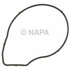 Engine Water Pump Cover Gasket