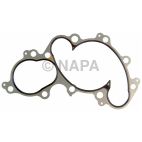 Engine Water Pump Gasket