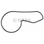 Engine Water Pump Gasket