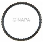 Engine Coolant Thermostat Housing Seal