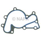 Engine Water Pump Gasket