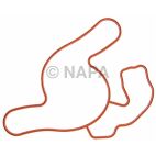 Engine Water Pump Gasket