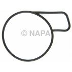 Fuel Injection Throttle Body Mounting Gasket