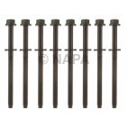 Engine Cylinder Head Bolt Set