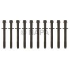 Engine Cylinder Head Bolt Set