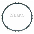Engine Coolant Thermostat Housing Seal