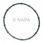 Engine Water Pump Gasket