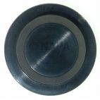 Engine Camshaft Plug