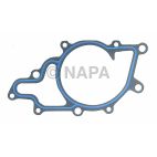 Engine Water Pump Gasket