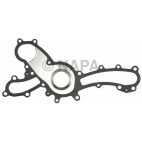 Engine Water Pump Gasket