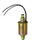 NAPA Fuel Pumps Gas Fuel Pump - External, Electrical, 19.8 gal (US)/hr, Lead Wire