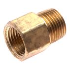 Brass Pipe Adapter - 12MP-12FPB-L