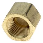 Brass Pipe Adapter - 8FPB-CAP