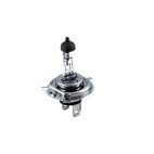 Bulb / Halogen Lamp GROTE Halogen