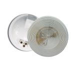 Lamp / Back-Up Female Pin Clear GROTE
