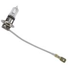 Lamp / Utility Clear