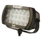 Lamp / Utility Work Clear