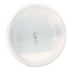 Lamp / Back-Up 2 Lamp System Clear GROTE