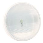 Lamp / Back-Up 2 Lamp System Clear GROTE