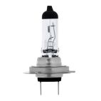 H7 Fog Light Bulb - 12v 55w