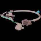 Engine Crankshaft Position Sensor