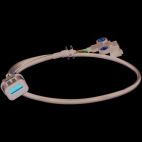 Engine Camshaft Position Sensor