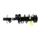 Suspension Strut Assembly