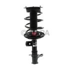 Suspension Strut Assembly