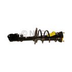 Suspension Strut Assembly