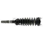 Suspension Strut Assembly