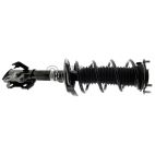 Suspension Strut Assembly