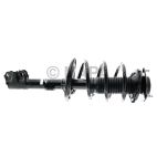 Suspension Strut Assembly