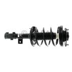 Suspension Strut Assembly