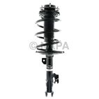Suspension Strut Assembly